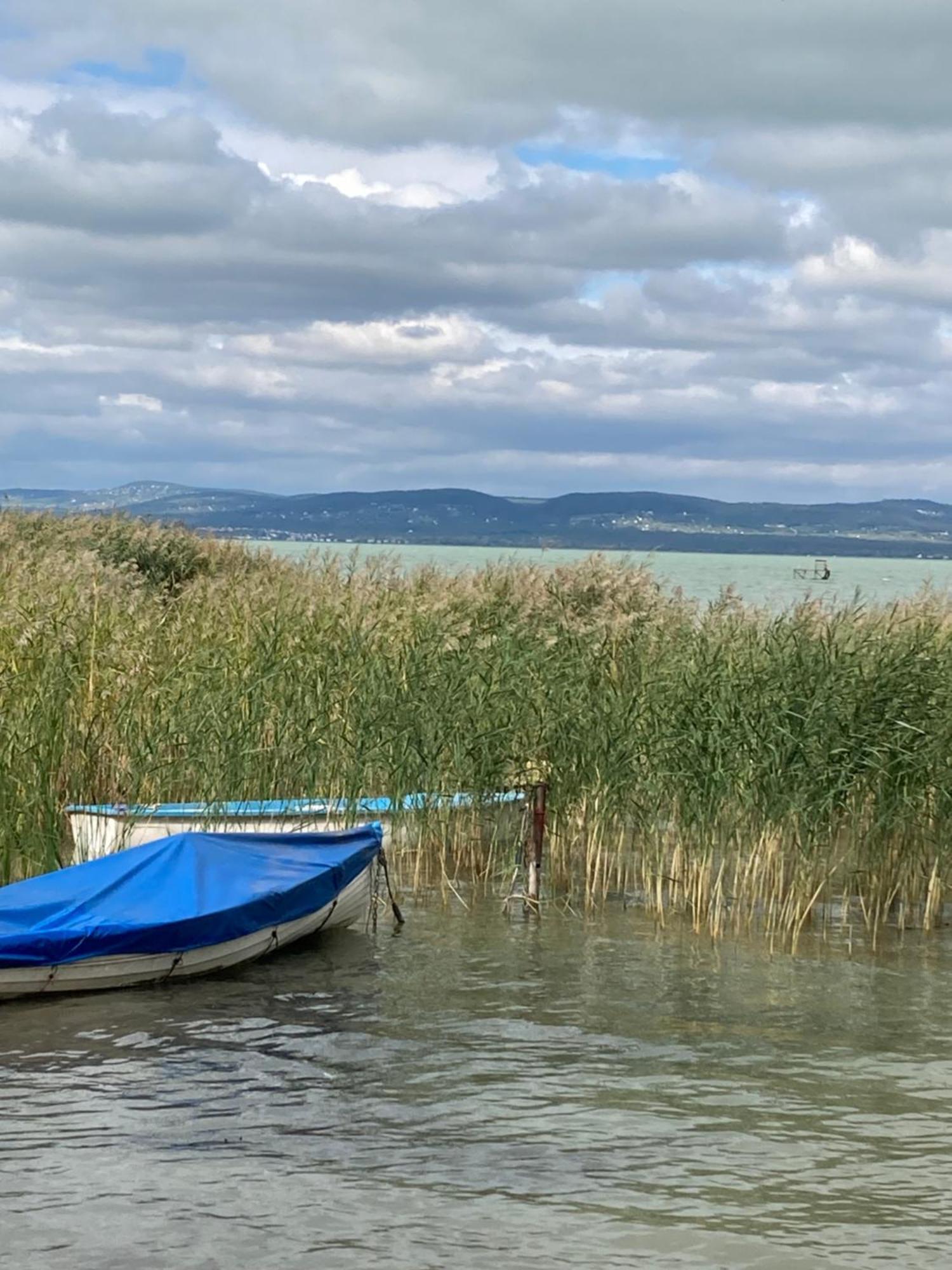 Bella Garden Villa Balatonszarszo Kültér fotó
